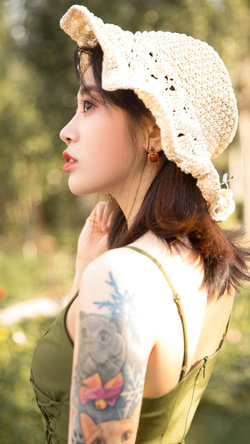 wallpaper不正经壁纸分类