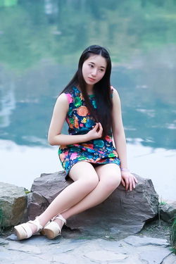 wallpaper手机版下载界面展示